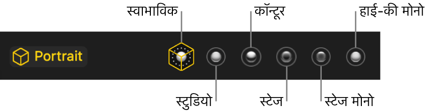 पोर्ट्रेट मोड लाइटिंग प्रभाव के विकल्प, जिसमें शामिल हैं (बाएँ से दाएँ) प्राकृतिक, स्टूडियो, कॉन्टूर, स्टेज, स्टेज मोनो और हाई-की मोनो।