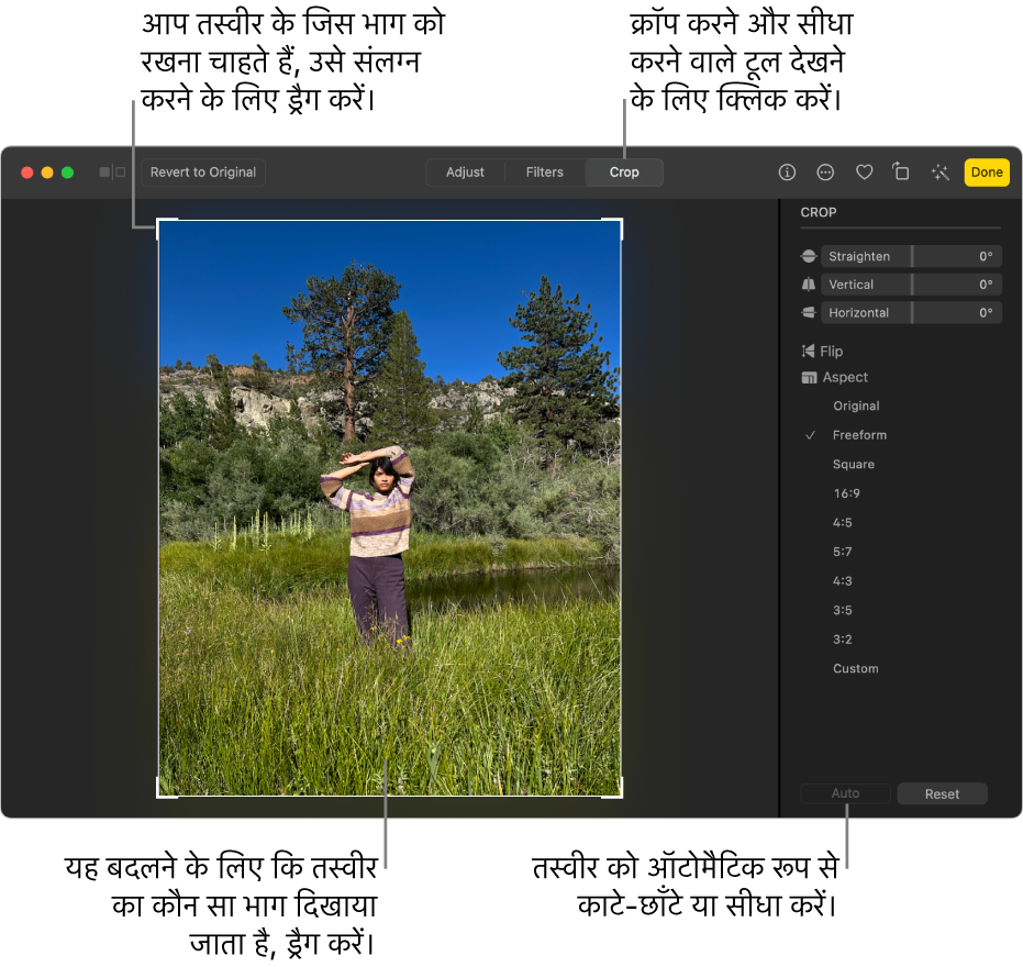 टूलबार में क्रॉप करें चयन, तस्वीर के चारों ओर आयताकार चयन और स्ट्रेटनिंग स्लाइडर, ऐस्पेक्ट रेशियो विकल्प और दाईं ओर ऑटो और रीसेट बटन के साथ संपादन दृश्य में तस्वीर।