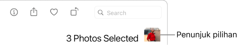 Penunjuk pilihan menunjukkan bahawa tiga foto dipilih.
