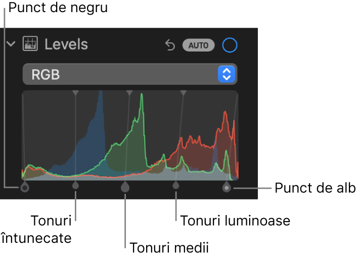 Comenzile Niveluri în panoul Ajustare, afișând histograma RGB cu mânerele dedesubt, inclusiv (de la stânga la dreapta) punctul de negru, tonurile închise, medii și luminoase și punctul de alb.