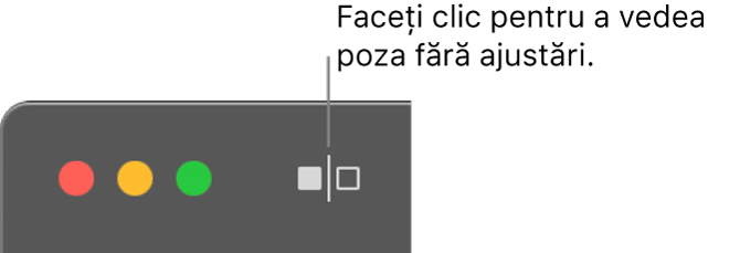 Butonul Fără ajustări, lângă comenzile din colțul din stânga sus al ferestrei.