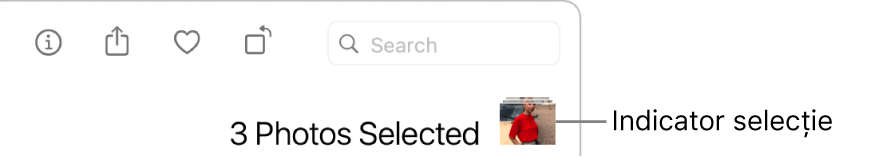 Indicator de selecție indicând trei poze selectate.