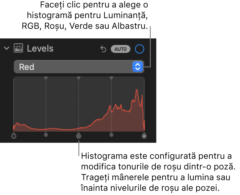 Comenzile Niveluri în panoul Ajustare, afișând histograma Roșu cu mânerele dedesubt pentru ajustarea nivelurilor de roșu ale pozei.