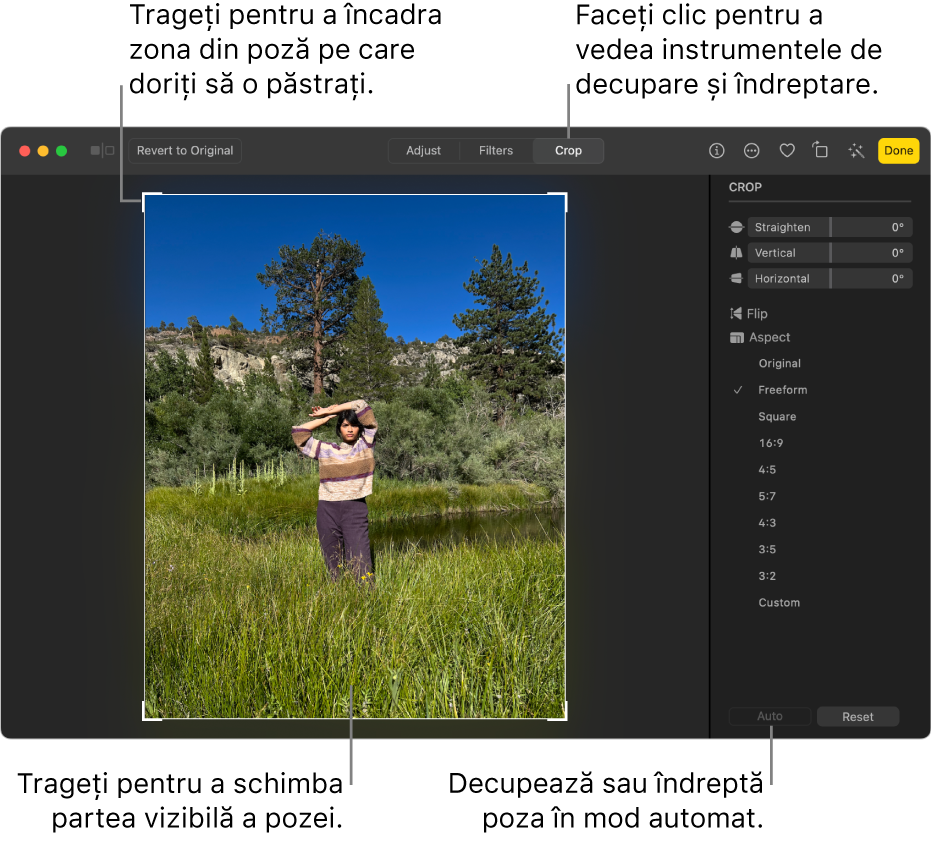 O poză în vizualizarea de editare, cu butonul Decupare selectat în bara de instrumente, un dreptunghi de selecție în jurul pozei și glisoarele de îndreptare, opțiunile pentru raportul de aspect și butoanele Automat și Resetează în partea din dreapta.