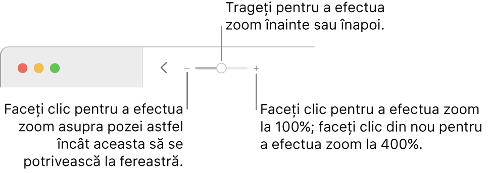 Bara de instrumente afișând comenzile de zoom.