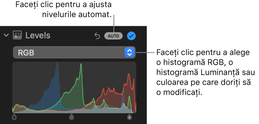 Comenzile Niveluri în panoul Ajustare, cu butonul Automat în partea din dreapta sus și histograma RGB dedesubt.