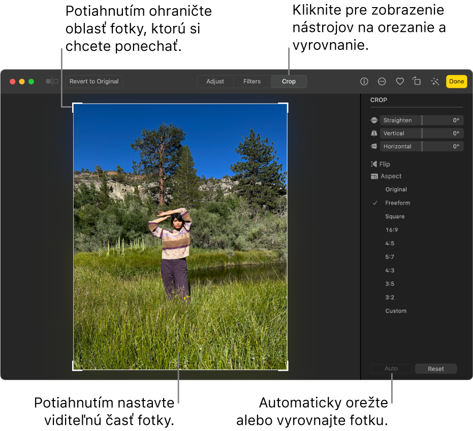 Fotka v zobrazení úprav s možnosťou Orezať vybranou na paneli s nástrojmi, s obdĺžnikom výberu okolo fotky a posuvníkmi vyrovnania, možnosťami pomeru strán a tlačidlami Auto a Resetovať vpravo.