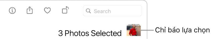Chỉ báo lựa chọn đang hiển thị ba ảnh được chọn.