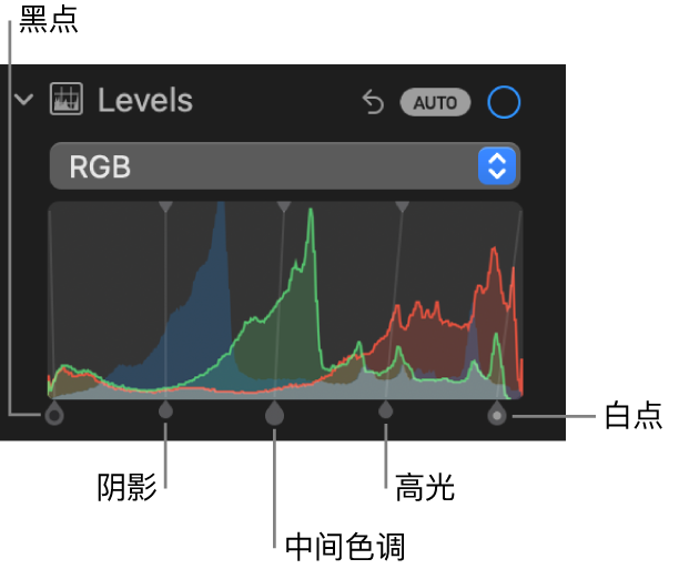 “调整”面板中的“色阶”控制，显示 RGB 直方图及下方的控制柄，包括（从左到右）黑点、阴影、中间色调、高光和白点。