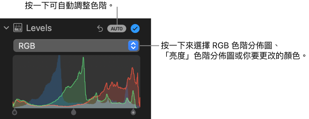 「調整」面板中的「色階」控制項目，右上方顯示「自動」按鈕，下方顯示 RGB 色階分佈圖。