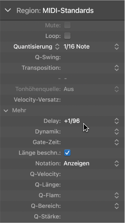 Abbildung. Parameter „Delay“ im Informationsfenster „Region“