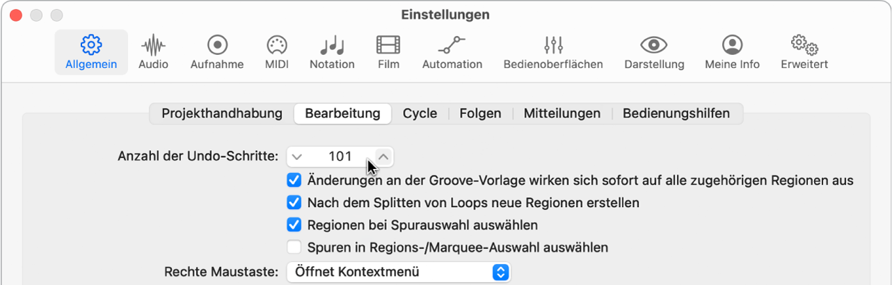 Abbildung. Feld „Anzahl der Undo-Schritte“ im Bereich „Bearbeitung“ in den allgemeinen Einstellungen