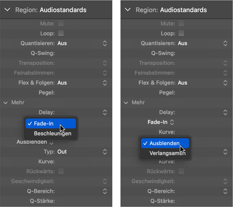 Abbildung. Parameter „Beschleunigen“ und „Verlangsamen“ im Informationsfenster „Region“