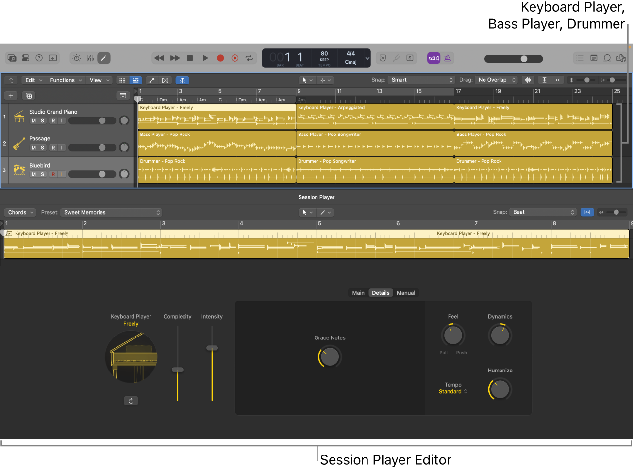 Figure. The Keyboard Player, Bass Player, and Drummer in the Tracks area, and the Session Player Editor.