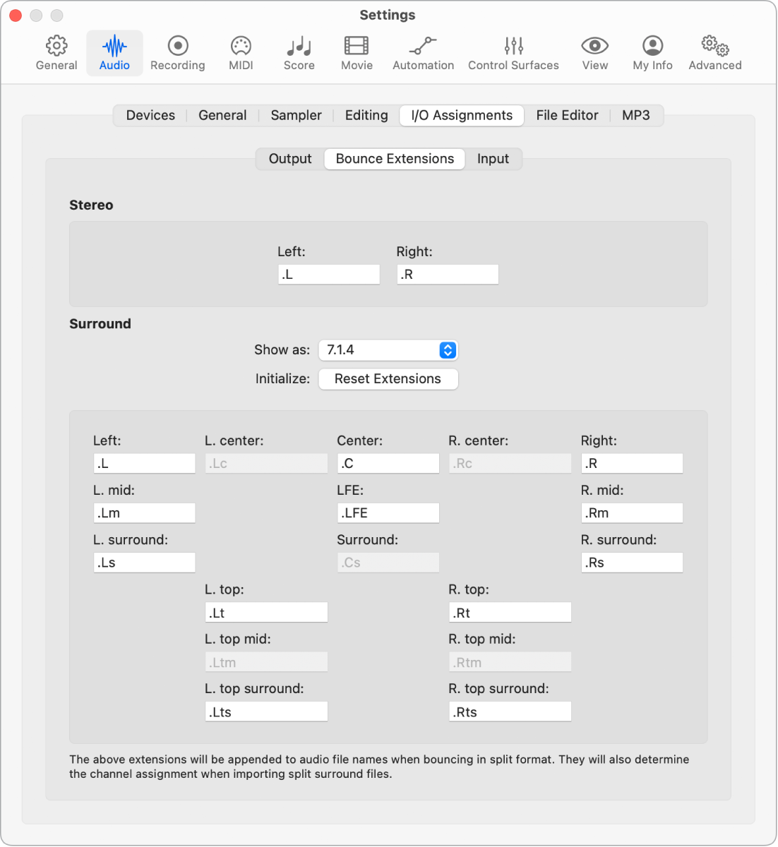 Figure. Bounce Extensions pane.