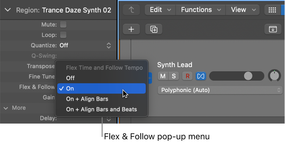 Figure. The Flex & Follow menu in the Region inspector.