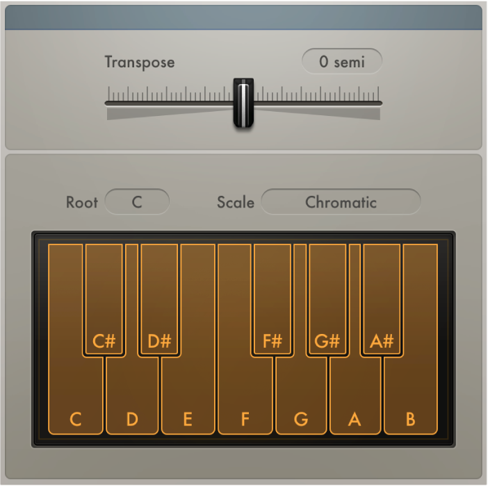 Figure. Transposer window.