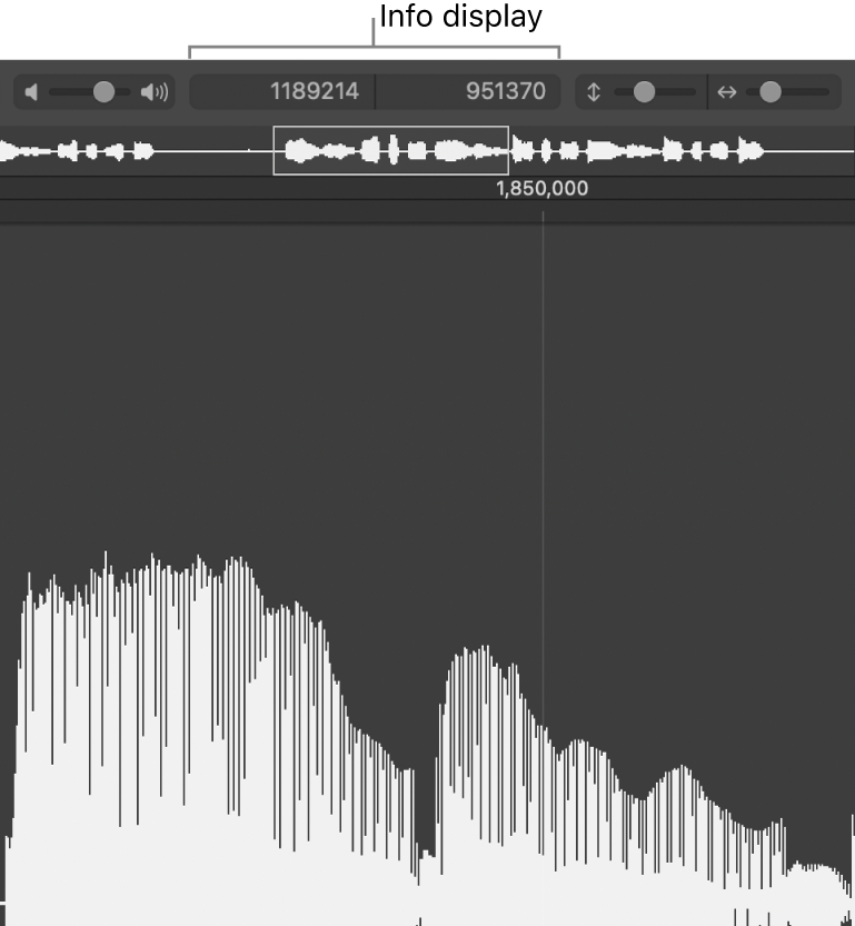 Figure. Info display in the Sample Editor.