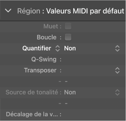 Figure. Paramètre Quantifier dans l’inspecteur de région.