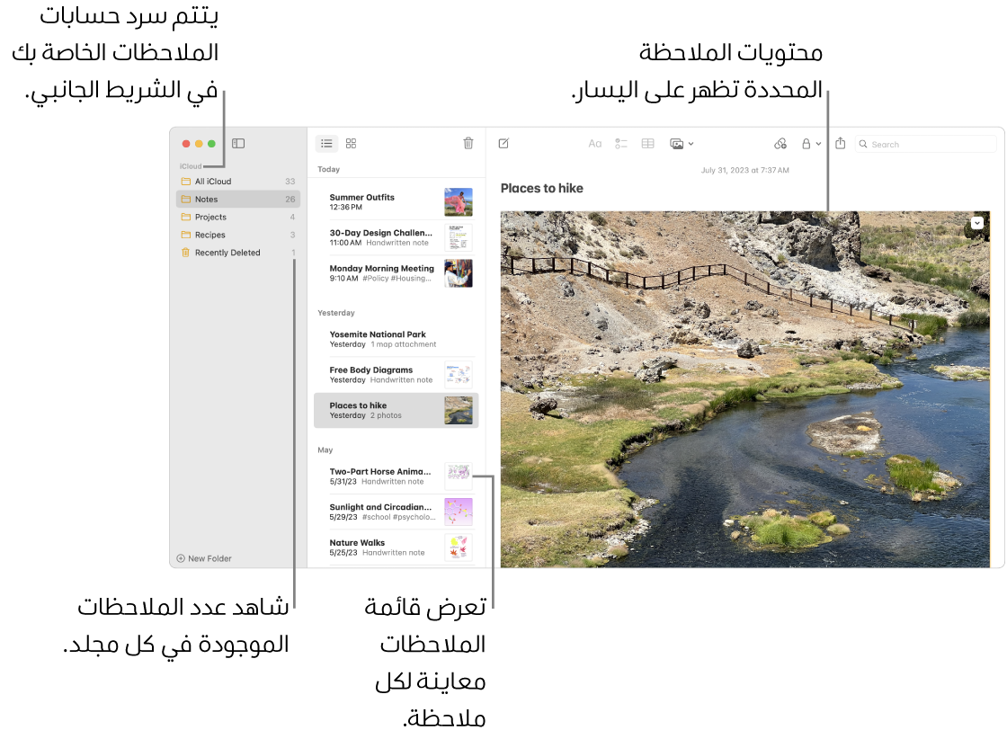 نافذة الملاحظات وبها كل حساباتك ومجلداتك المكوَّنة مدرجة في الشريط الجانبي على اليمين، وقائمة الملاحظات في المنتصف تعرض معاينة لكل ملاحظة، ومحتوى الملاحظة المحددة ظاهر على اليسار. يظهر عدد الملاحظات بجوار كل مجلد.