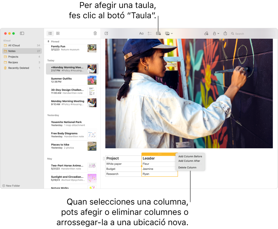 La finestra de l‘app Notes, amb el botó de taula: fes-hi clic per afegir una taula. Dins del contingut de la nota, se selecciona una columna de taula perquè hi puguis afegir o eliminar columnes o arrossegar-la a una altra ubicació.