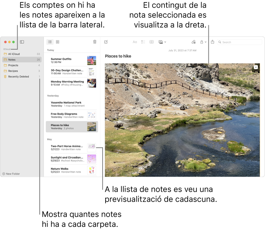 La finestra “Notes”, que mostra tots els teus comptes i carpetes configurats a la barra lateral de l‘esquerra, la llista de notes al centre (amb una previsualització de cada nota) i el contingut de la nota seleccionada a la dreta. El nombre de notes es mostra al costat de cada carpeta.