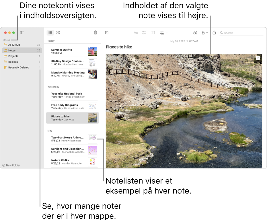 Vinduet Noter med alle dine konfigurerede konti og mapper i indholdsoversigten til venstre, notelisten, der viser et eksempel på hver note, i midten, og indholdet i den valgte note til højre. Antallet af noter vises ud for hver mappe.