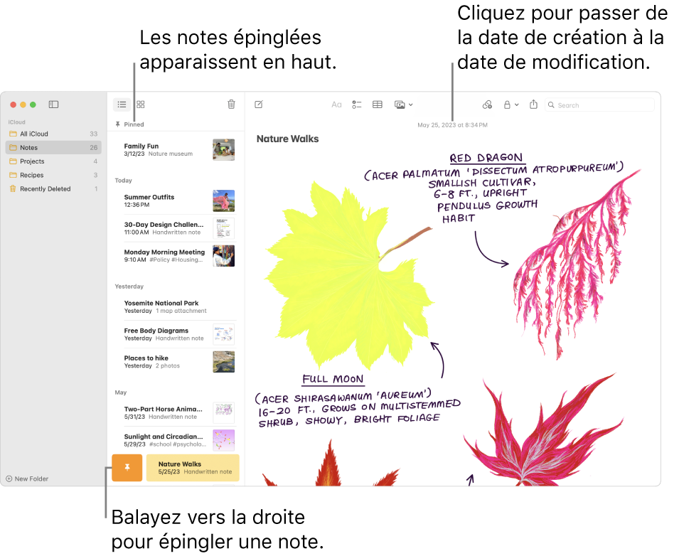 La fenêtre Notes avec la liste des notes à gauche, des notes épinglées en haut de la liste des notes et le bouton Épingler sur une note. Le contenu de cette note s’affiche sur la droite avec la date en haut; cliquez sur la date pour basculer entre la date de création et la date de dernière modification.