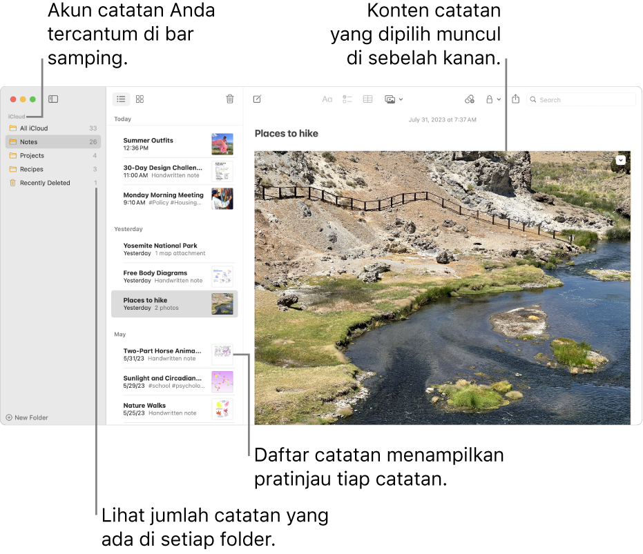 Jendela Catatan dengan semua akun serta folder Anda yang dikonfigurasikan tercantum di bar samping di kikir, daftar catatan di tengah menampilkan pratinjau tiap catatan, dan konten catatan yang dipilih muncul di kanan. Jumlah catatan muncul di samping tiap folder.