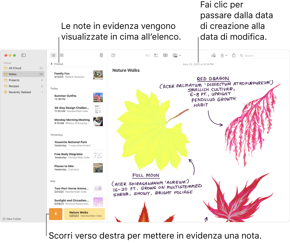 La finestra di Note, con l’elenco di note a sinistra, le note in evidenza in cima all’elenco e il pulsante per metterle in evidenza in corrispondenza di una nota. Il contenuto di quella nota appare sulla destra con la data in alto; fai clic sulla data per passare dalla data di creazione alla data di modifica.