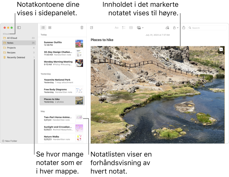 Notater-vinduet med alle konfigurerte kontoer og mapper i sidepanelet til venstre, notatlisten i midten som viser en forhåndsvisning av hvert notat, og innholdet i det markerte notatet til høyre. Antallet notater vises ved siden av hver mappe.