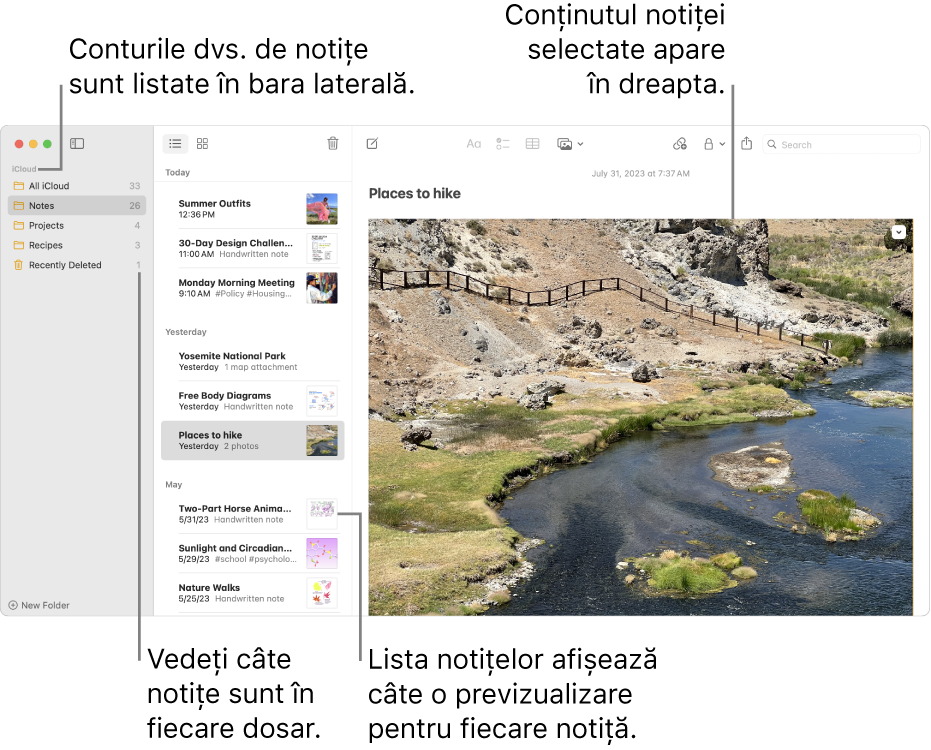 Fereastra Notițe cu toate conturile și dosarele dvs. configurate listate în bara laterală din stânga, lista de notițe pe mijloc, afișând o previzualizare a fiecărei notițe, și conținutul notiței selectate afișat în partea dreaptă. Numărul de notițe apare lângă fiecare dosar.