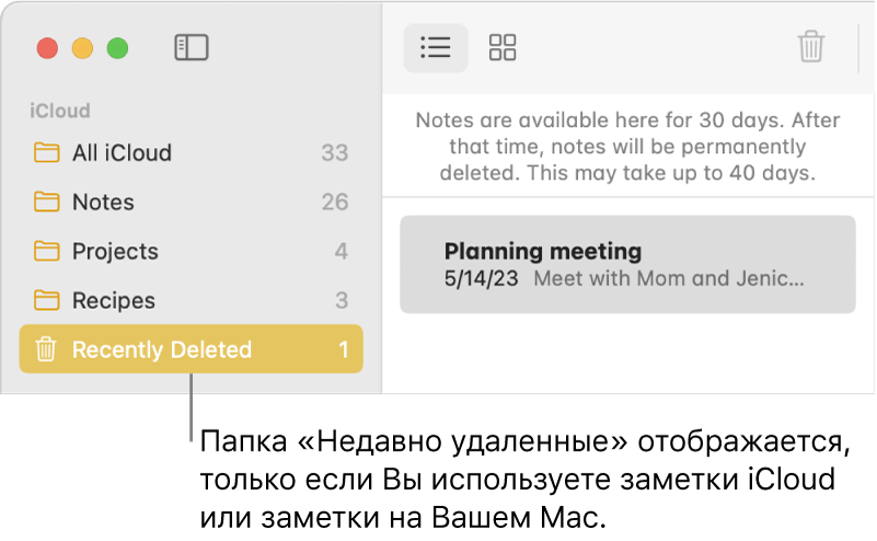 Окно приложения «Заметки» с папкой «Недавно удаленные» в боковом меню и недавно удаленной заметкой. Папка «Недавно удаленные» доступна только для заметок iCloud и заметок, хранящихся на Mac.