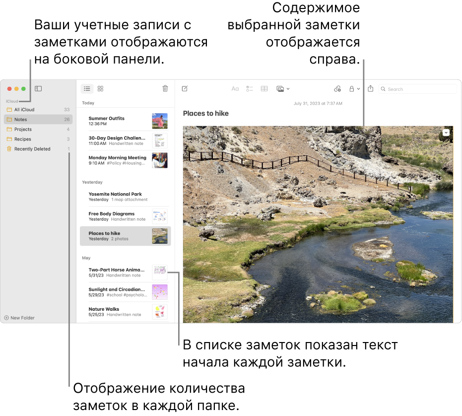 Окно Заметок: в боковом меню слева показаны все Ваши учетные записи и папки, в центре показан список заметок с небольшим изображением каждой заметки, а справа показано содержимое выбранной заметки. Рядом с каждой папкой отображается количество заметок.
