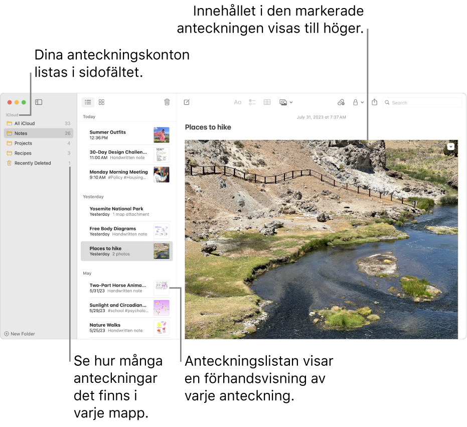 Fönstret Anteckningar med alla konfigurerade konton och mappar listade i sidofältet till vänster, listan med anteckningar i mitten visar en förhandsvisning av varje anteckning och innehållet i den valda anteckningen visas till höger. Antalet anteckningar visas bredvid varje mapp.