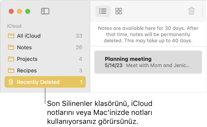 Kenar çubuğunda Son Silinenler klasörünün ve yakın bir zamanda silinmiş bir notun olduğu Notlar penceresi. Son Silinenler klasörünü, iCloud notlarını veya Mac’inizde notları kullanıyorsanız görürsünüz.