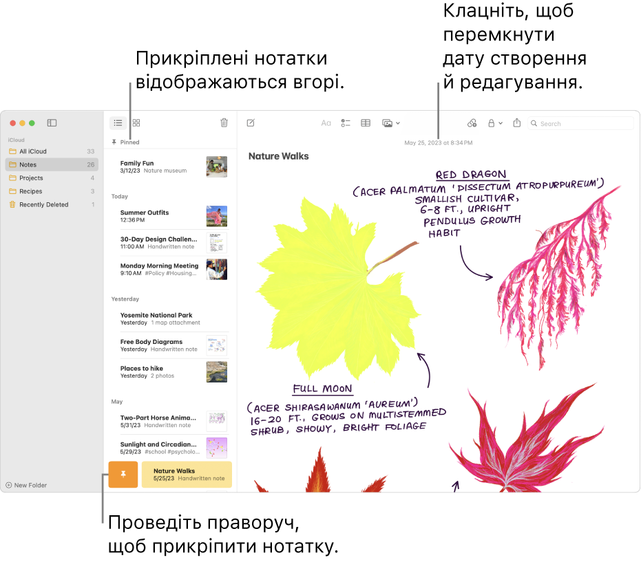 Вікно Нотаток зі списком нотаток ліворуч, закріпленими нотатками вгорі списку і кнопкою Прикріпити на одній із нотаток. Вміст цієї нотатки відображається праворуч із датою вгорі. Клацніть дату для перемикання між датою створення і датою редагування.