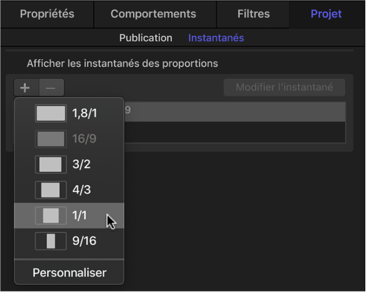 Fenêtre Instantanés dans l’inspecteur du projet affichant les nouvelles options de proportions d’affichage