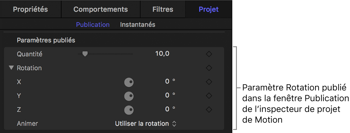 Paramètre Rotation, publié dans la fenêtre Publication de l’inspecteur du projet