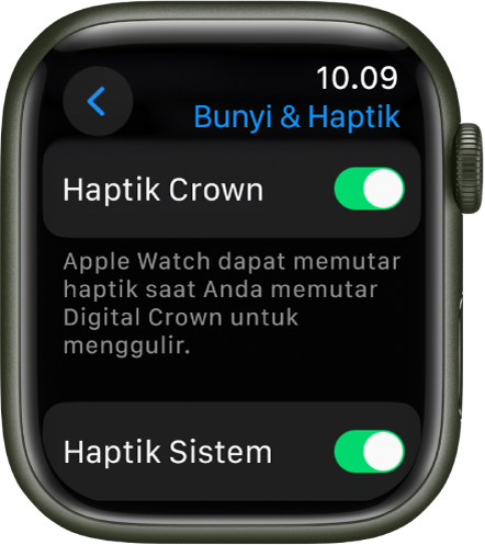 Layar Haptik Crown, menampilkan pengalih Haptik Crown yang dinyalakan. Pengalih Haptik Sistem di bawah.