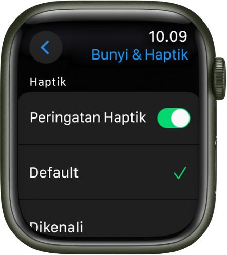 Peringatan Bunyi & Haptik di Apple Watch, dengan pengalih Peringatan Haptik, dan pilihan Default dan Dikenali di bawahnya.