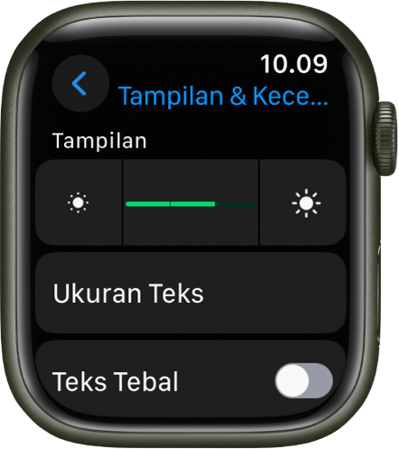 Pengaturan Tampilan & Kecerahan di Apple Watch, dengan penggeser Kecerahan di bagian atas dan tombol Selalu Nyala di bawah.