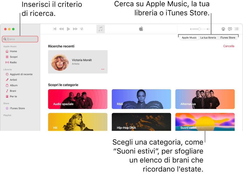 La finestra di Apple Music che mostra il campo di ricerca nell’angolo in alto a sinistra, l’elenco delle categorie al centro della finestra e Apple Music, “La tua libreria” o iTunes Store nell’angolo in alto a destra. Inserisci i criteri di ricerca nel campo, quindi scegli se cercare su tutto Apple Music, solo nella libreria o su iTunes Store.