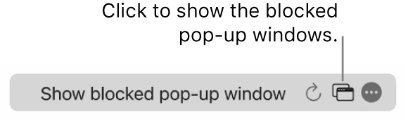 The Smart Search field with an icon to show blocked pop-up windows.