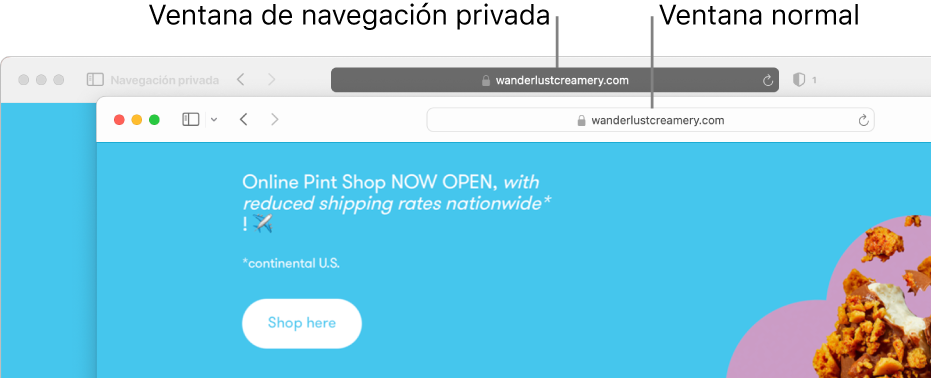 Una ventana privada de Safari con su campo de búsqueda inteligente obscuro y una ventana de Safari normal con su campo de búsqueda inteligente claro.
