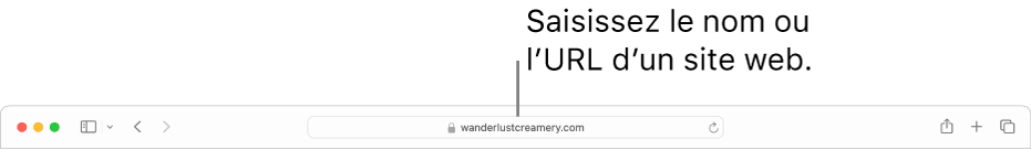 Champ de recherche intelligente situé au milieu de la barre d’outils de Safari.