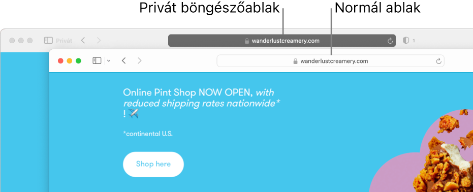 Egy privát Safari ablak, sötét intelligens keresési mezővel és egy normál Safari ablak, világos intelligens keresési mezővel.