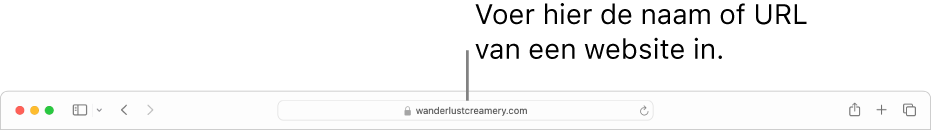 Het slimme zoekveld van Safari, waarin je de naam of URL van een website kunt typen.