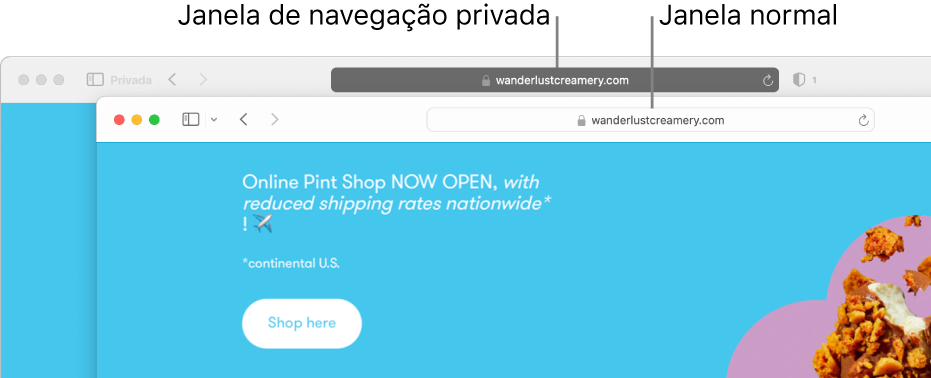 Uma janela privada do Safari privada com o campo de pesquisa inteligente escuro e uma janela normal do Safari com o campo de pesquisa inteligente claro.