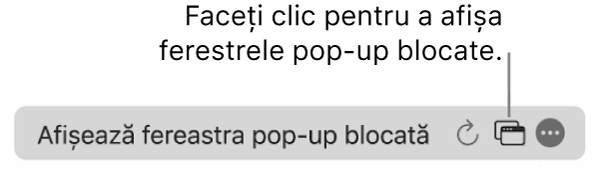 Câmpul de căutare inteligentă cu o pictogramă pentru a afișa ferestrele pop‑up blocate.